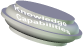 Knowledge  Capabilities