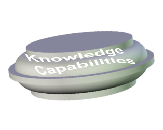 Knowledge  Capabilities